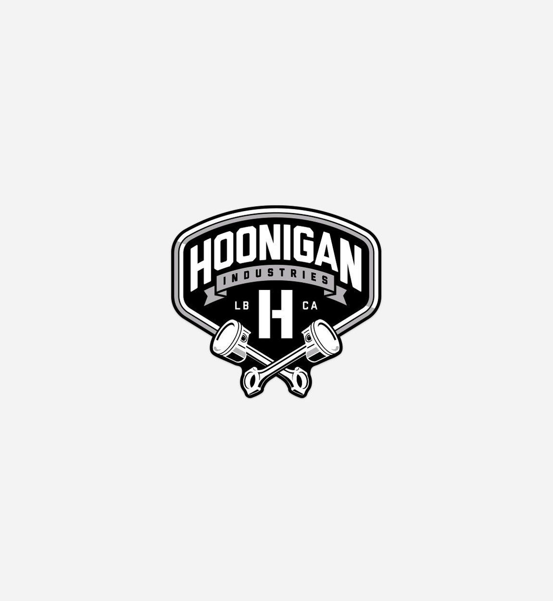 Hoonigan Unveiled: 10 Fascinating Facts